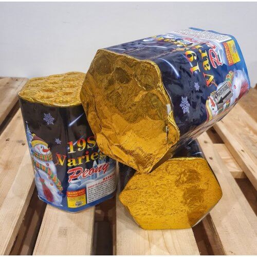 19 schots variegated peony 3 stuks